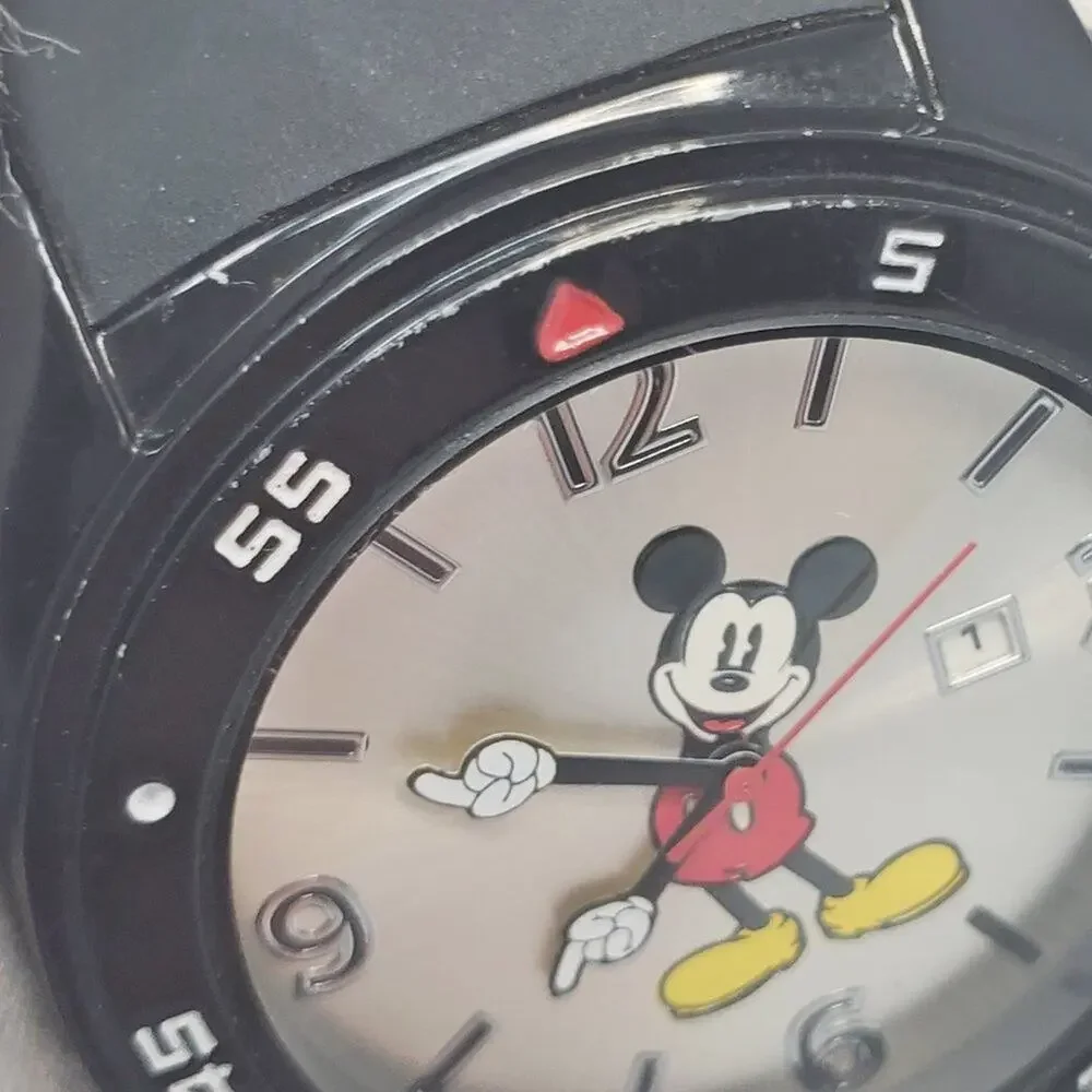 Disney celebrate charm